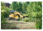 Eco-Friendly Organic Land Clearing in Hilo - Arborist Services 
