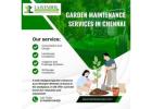  Terrace Garden Services in Chennai