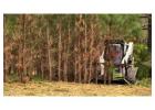 Forestry Clearing Services Across the Big Island 