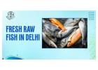 Fresh Raw Fish in Delhi from Trusted Seafood Suppliers
