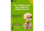 Why Is Your Body Feeling Heavy Stressed and Exhausted Every Day? 