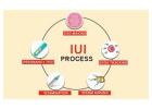 IUI Treatment in Delhi - Dr Rhythm Gupta