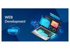 Professional website development cochin for Growing Businesses