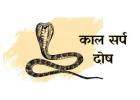 Expert Ujjain Kaal Sarp Dosh Puja Pandit Service - Book