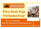 Best Tripindi Shradha Puja At Trimbakeshwar By Pandit Rajmani Guruji 