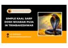 Simple Kaal Sarp Dosh Nivaran Puja In Trimbakeshwar