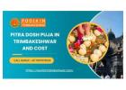 Pitra Dosh Puja In Trimbakeshwar And Cost 