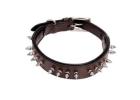 2-Inch Wide Spiked Leather Dog Collar 