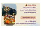 Trimbakeshwar Pitra Dosh Puja | Kaal Sarp Dosh Nivaran Puja