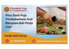 Pitru Dosh Puja Trimbakeshwar | Narayana Bali Pooja Cost