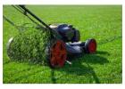 Landscape installation services | SB LAWN CARE INC.