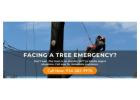 Tree Removal Services in Cortlandt NY 