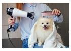 Expert Pet Grooming Professionals Working in Secunderabad