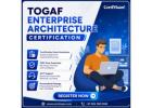 TOGAF OGEA-101 Certification Learning Resources