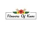 Florist Doveton