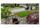 Western Turf Farms Ltd