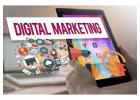 Best Digital Marketing Services in Noida for Business Growth