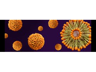 Why liposomes improve delivery