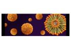 Why liposomes improve delivery