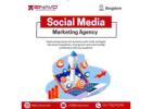 Social Media Marketing Agency in Bangalore | Local SEO Services in Bangalore
