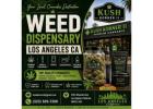 Trusted Weed Dispensary Los Angeles CA for Premium Cannabis Products