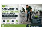 Expert Commercial Carpet Cleaning Mississauga Services for Businesses 