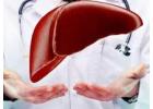 Expert Chronic Liver Treatment Doctors in Ludhiana  