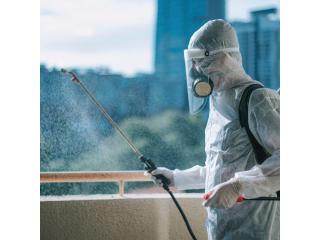 Best Pest Control Services in Gurgaon | Safe & Affordable