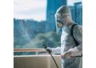Best Pest Control Services in Gurgaon | Safe & Affordable
