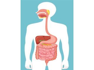 Best Gastroenterologist in Ahmedabad for Digestive Health Care