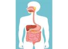 Best Gastroenterologist in Ahmedabad for Digestive Health Care