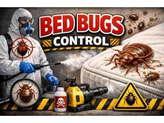 Affordable Bed Bug Control Service in Gurgaon with Guaranteed Results