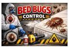 Affordable Bed Bug Control Service in Gurgaon with Guaranteed Results