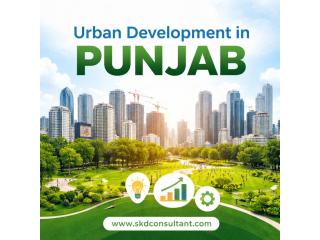 Urban Development in Punjab: Issues and Solutions