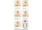 CUTE PLUSHY TEDDY BEARS, GORGEOUS FLOWERS, MOTHER LOVE, FADS DEVOTION, BACKPACK,