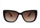  Latest Eyewear Trends in India You Should Know About | Lenstick