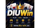 Best DIUWin Tips for Smooth Online Game