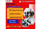 Shresta Trainings- SAP FICO Training Institute in Hyderabad,US,UK,Canada,Dubai,Germany
