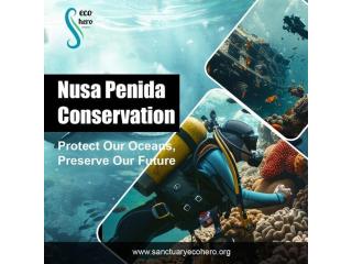 Nusa Penida Conservation