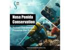 Nusa Penida Conservation