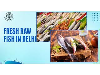 Trusted Fresh Raw Fish in Delhi from INDIA FISH CO.