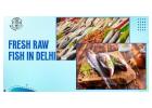 Trusted Fresh Raw Fish in Delhi from INDIA FISH CO.