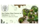 Best online plant nursery in Vadodara | baugbagicha