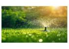 Affordable Lawn Perfection with Expert Care in Saginaw 