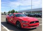 Affordable Auto Glass Repair Westminster at Mustang Auto Glass 