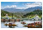 Best Dabba Trading App in Srinagar