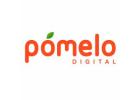 Creative Branding & Digital Marketing Services in Gurgaon | Pomelo Digital