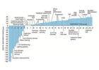 world energy consumption
