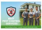 Why Are Termite Control Services Important for Every Home?
