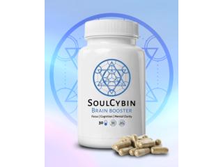 SoulCybin